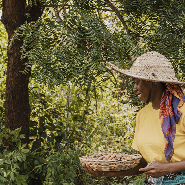 cueilleuse gabonaise